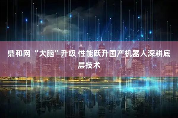 鼎和网 “大脑”升级 性能跃升国产机器人深耕底层技术