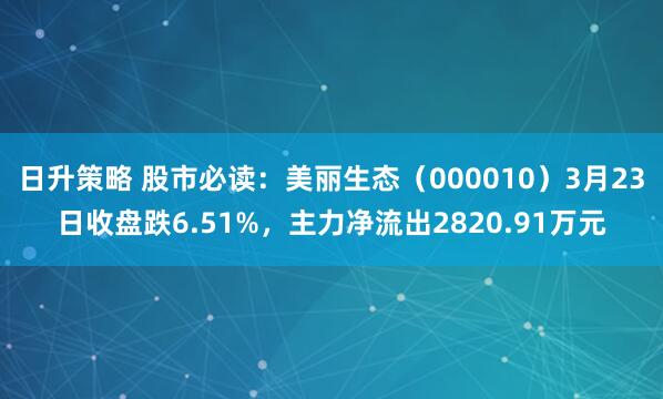日升策略 股市必读：美丽生态（000010）3月23日收盘跌6.51%，主力净流出2820.91万元
