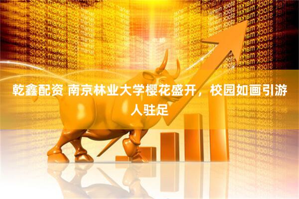 乾鑫配资 南京林业大学樱花盛开，校园如画引游人驻足