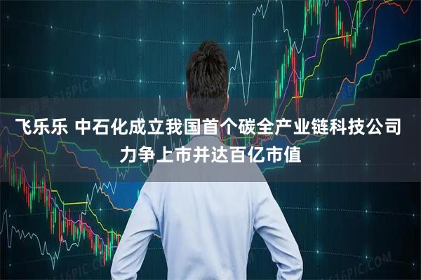 飞乐乐 中石化成立我国首个碳全产业链科技公司 力争上市并达百亿市值