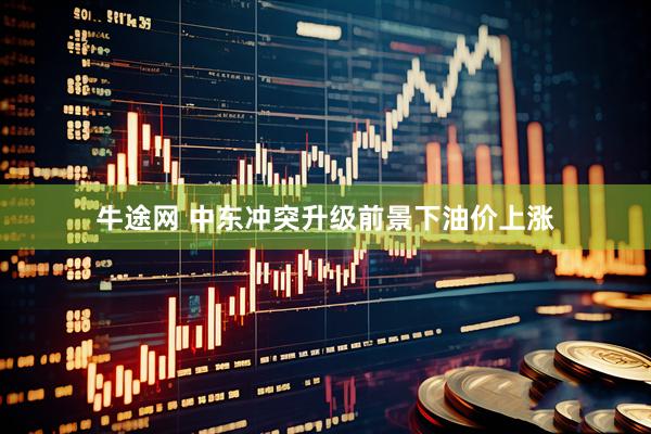 牛途网 中东冲突升级前景下油价上涨