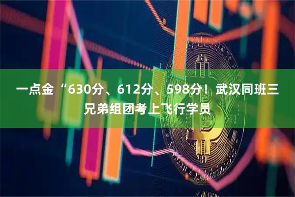 一点金 “630分、612分、598分！武汉同班三兄弟组团考上飞行学员
