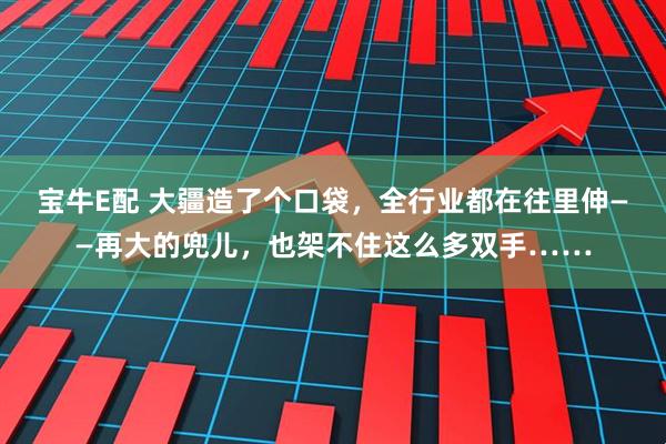 宝牛E配 大疆造了个口袋,全行业都在往里伸——再大的兜儿,也架不住这么多双手……