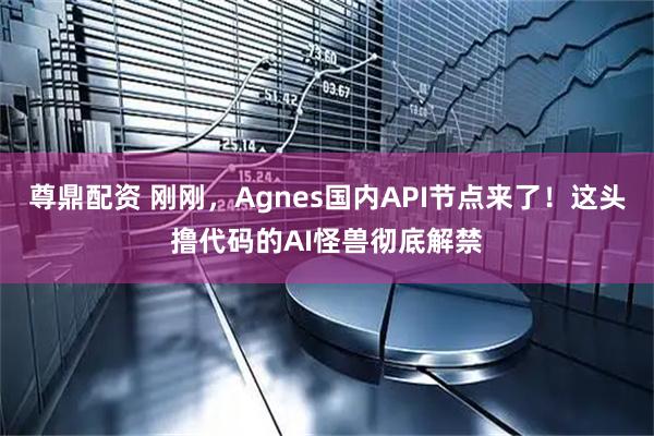 尊鼎配资 刚刚，Agnes国内API节点来了！这头撸代码的AI怪兽彻底解禁