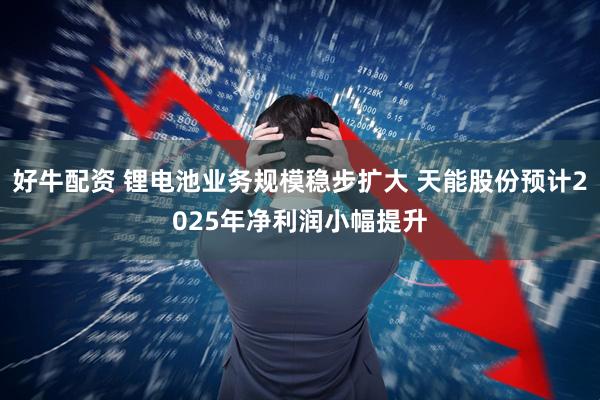 好牛配资 锂电池业务规模稳步扩大 天能股份预计2025年净利润小幅提升