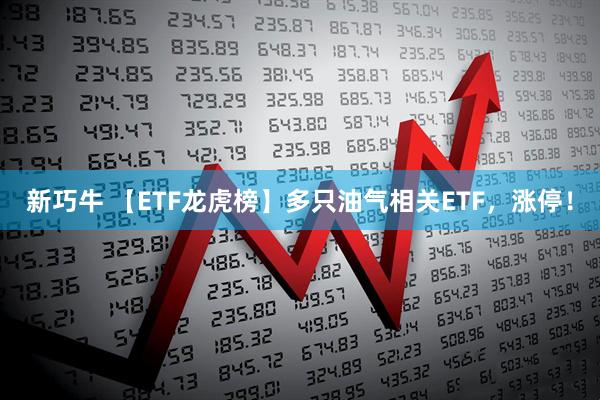 新巧牛 【ETF龙虎榜】多只油气相关ETF，涨停！