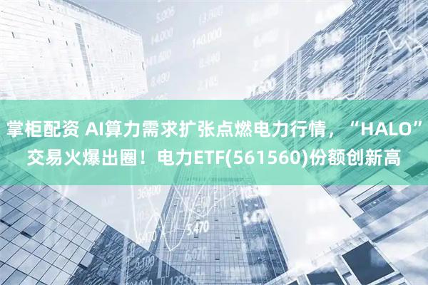 掌柜配资 AI算力需求扩张点燃电力行情，“HALO”交易火爆出圈！电力ETF(561560)份额创新高