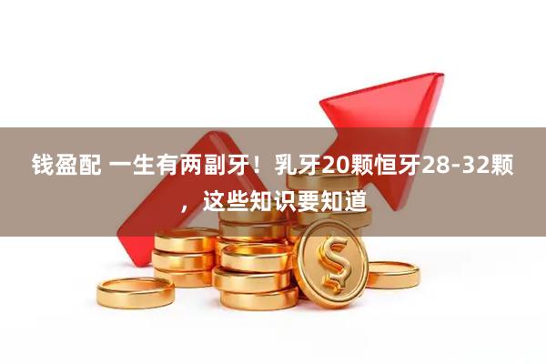 钱盈配 一生有两副牙！乳牙20颗恒牙28-32颗，这些知识要知道