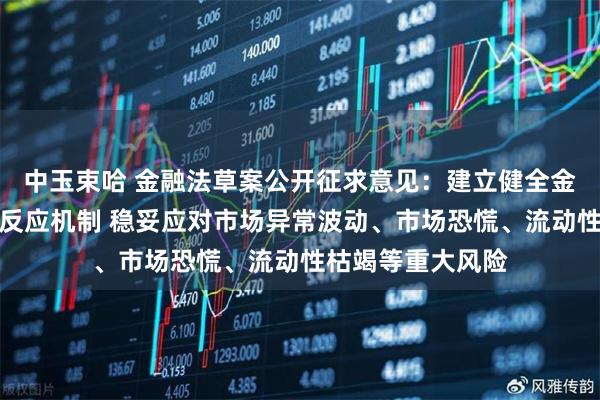 中玉束哈 金融法草案公开征求意见：建立健全金融市场风险快速反应机制 稳妥应对市场异常波动、市场恐慌、流动性枯竭等重大风险