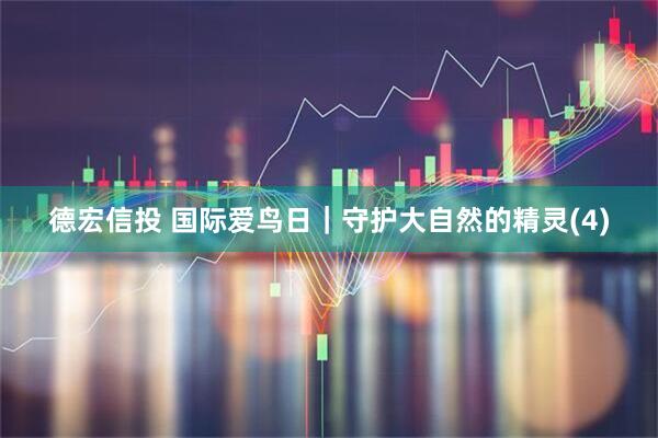 德宏信投 国际爱鸟日｜守护大自然的精灵(4)