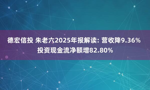 德宏信投 朱老六2025年报解读: 营收降9.36% 投资现金流净额增82.80%