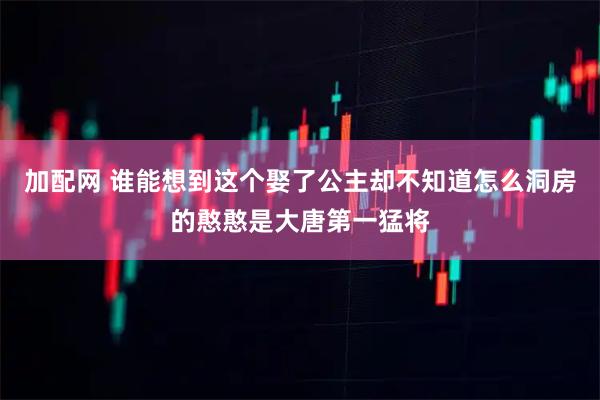 加配网 谁能想到这个娶了公主却不知道怎么洞房的憨憨是大唐第一猛将