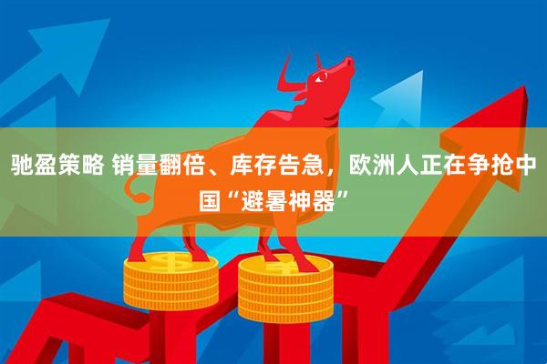 驰盈策略 销量翻倍、库存告急,欧洲人正在争抢中国“避暑神器”