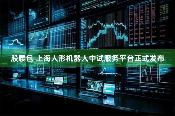 股腰包 上海人形机器人中试服务平台正式发布