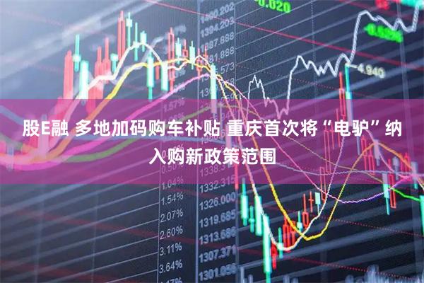 股E融 多地加码购车补贴 重庆首次将“电驴”纳入购新政策范围